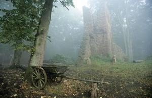 Harald Metzger - Ruine Wildenstein im Nebel