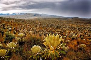 Karl-Heinz Ludwig - Landschaft in Ecuador