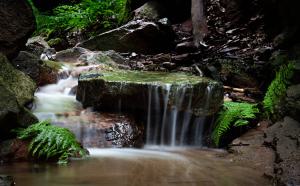 Kathrin und Benjamin Nebel - Miniaturwasserfall