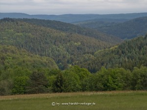 2004 0521Jakobsthal0017