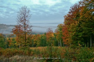 20081010-003Hasenstabweg