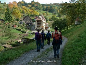 20081010-053Hasenstabweg