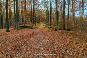 Unterwegs im Spessart