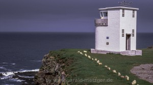 Latrabjarg - das westliche Ende Europas