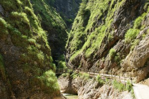 Almbach Klamm