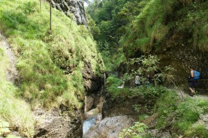 Almbach Klamm