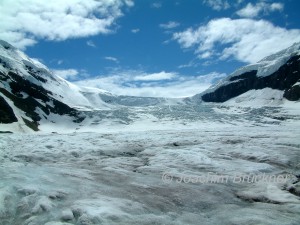 Athabasca Glacier Canada  
