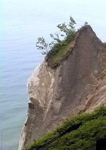 MB Jasmund Nationalpark (1)          