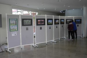 Ausstellung_Mainaue_140826_22        