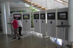 Ausstellung_Mainaue_140826_23        