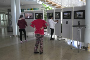 Ausstellung_Mainaue_140826_24        