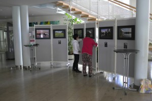 Ausstellung_Mainaue_140826_25        