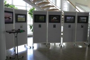 Ausstellung_Mainaue_140826_27        