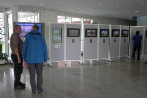 Ausstellung_Mainaue_140826_28        