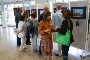 Ausstellung_Mainaue_140827_05        