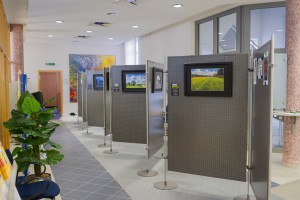 Ausstellung_Mainauen_Raiffeisenbank_Kleinwallstadt