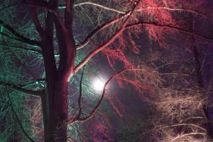 VH_2387_02-2
